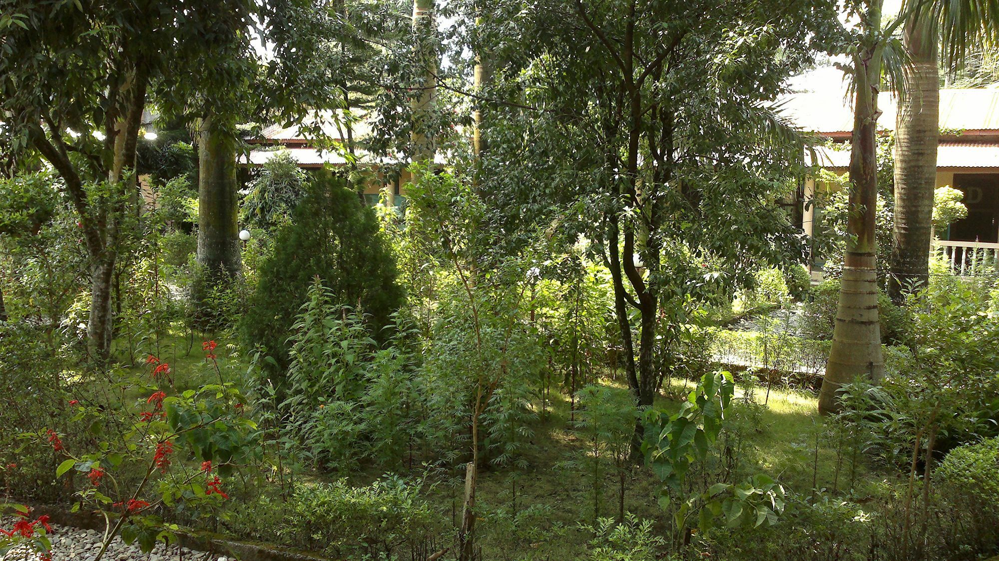 Hotel Ama Garden Sauraha Exteriér fotografie