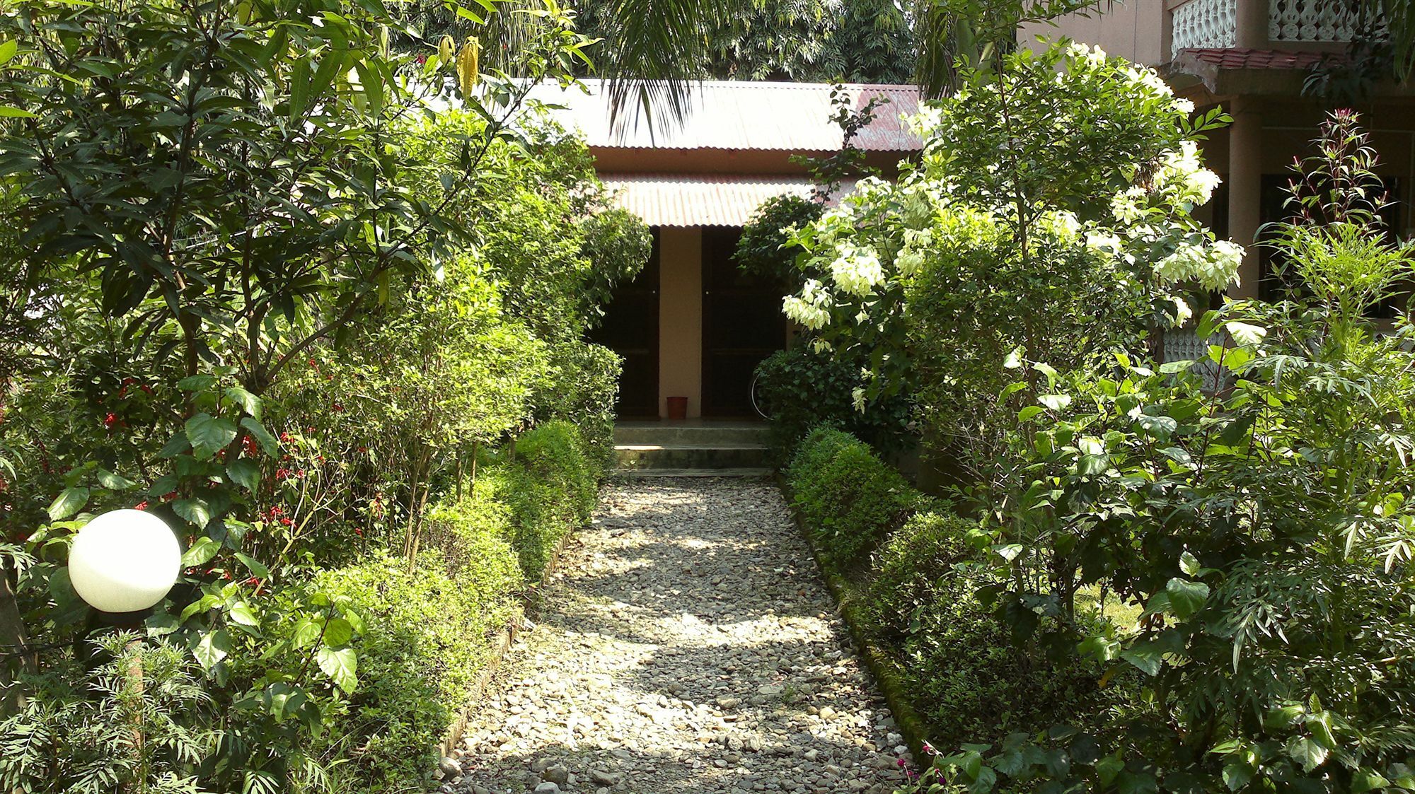 Hotel Ama Garden Sauraha Exteriér fotografie