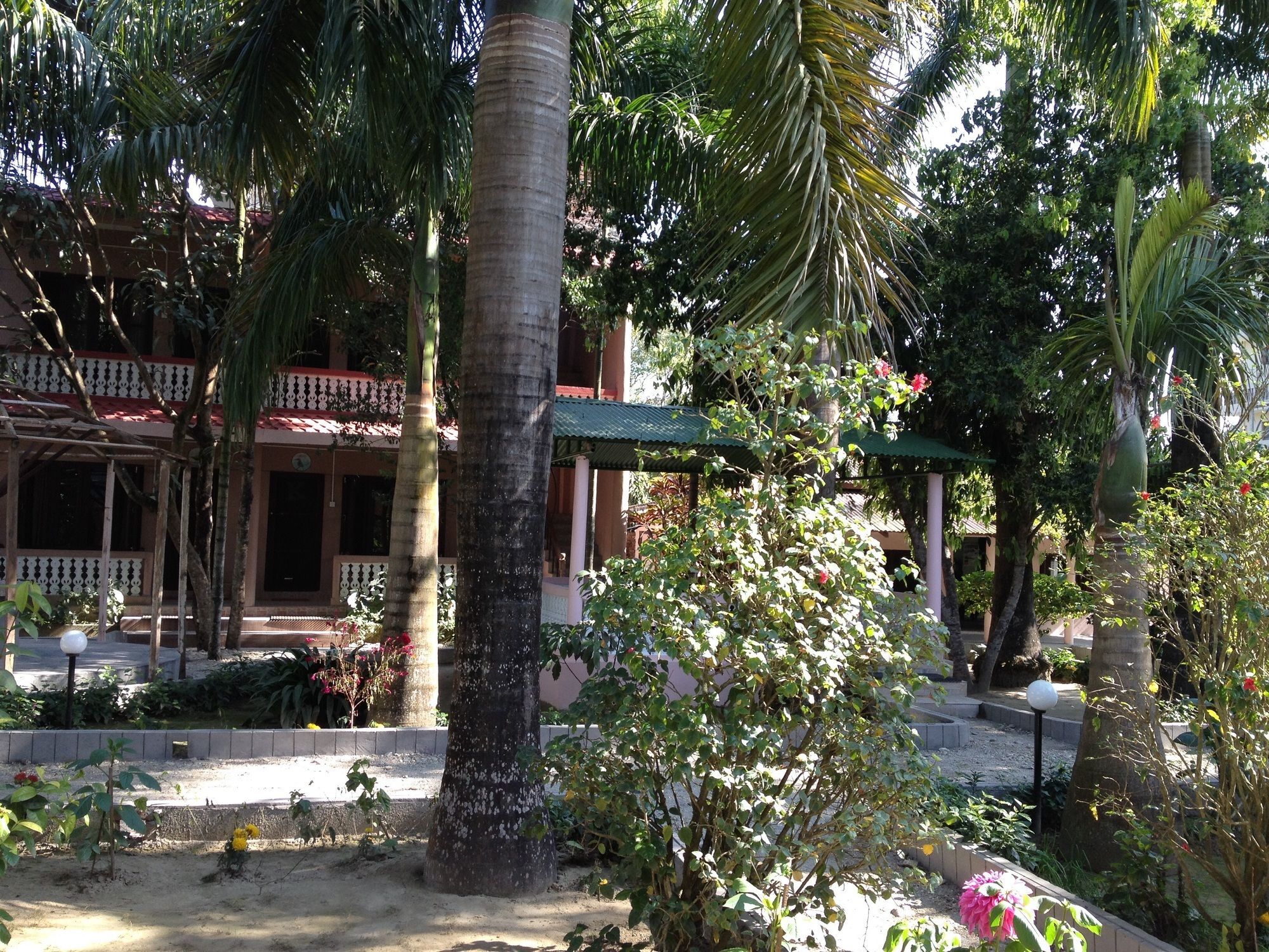 Hotel Ama Garden Sauraha Exteriér fotografie