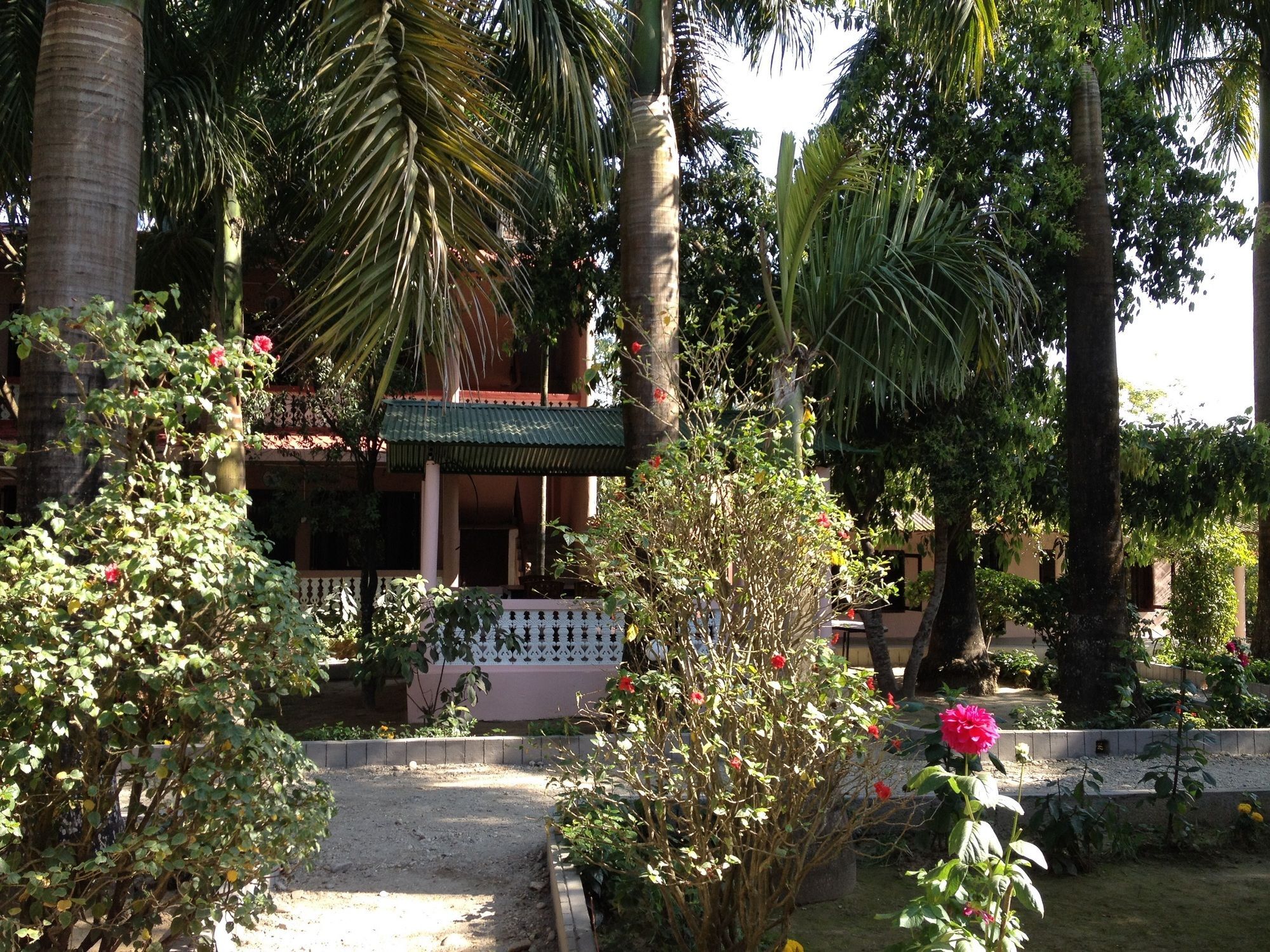 Hotel Ama Garden Sauraha Exteriér fotografie