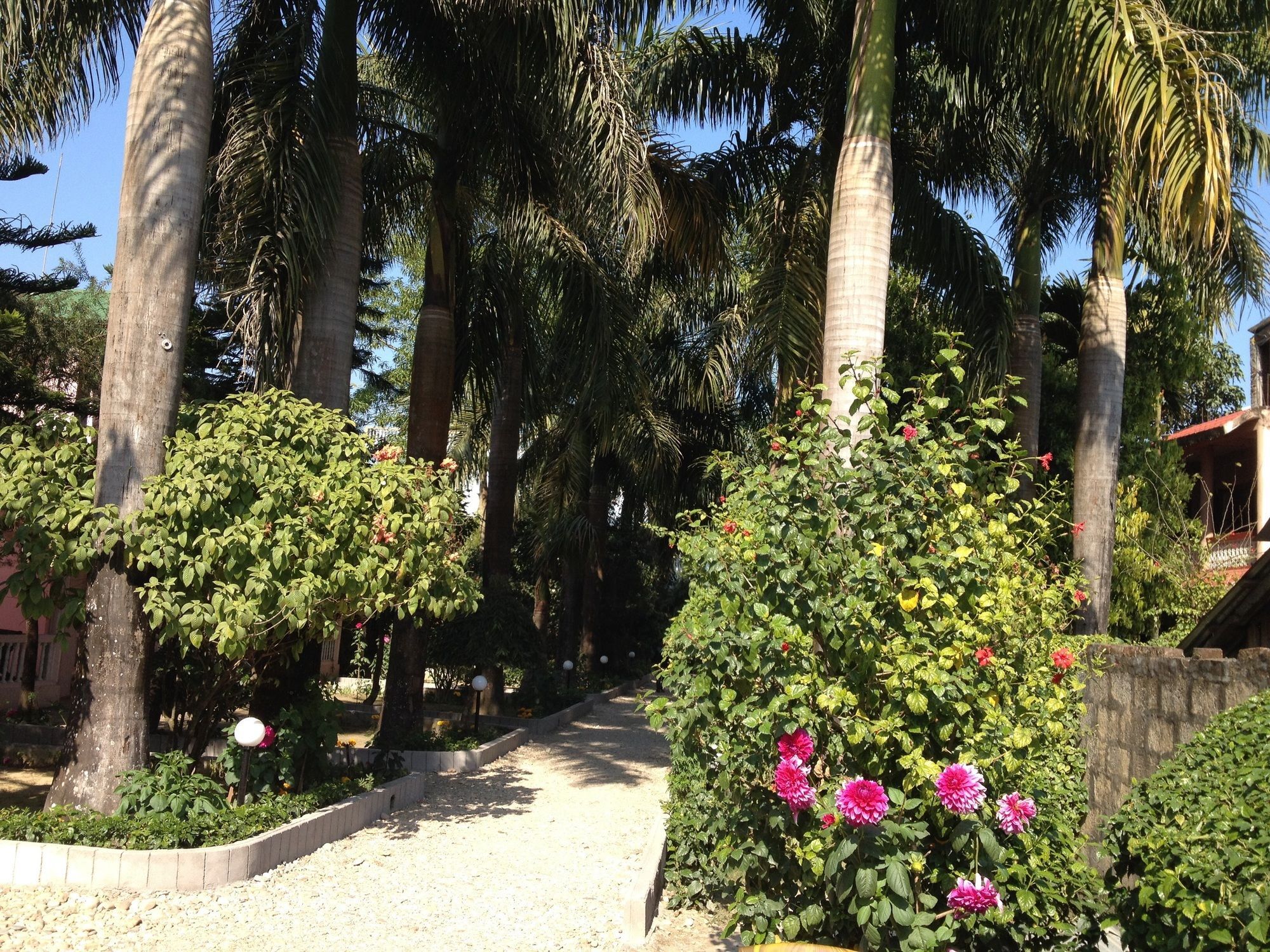 Hotel Ama Garden Sauraha Exteriér fotografie