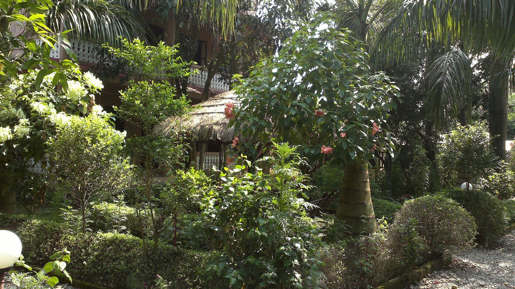 Hotel Ama Garden Sauraha Exteriér fotografie