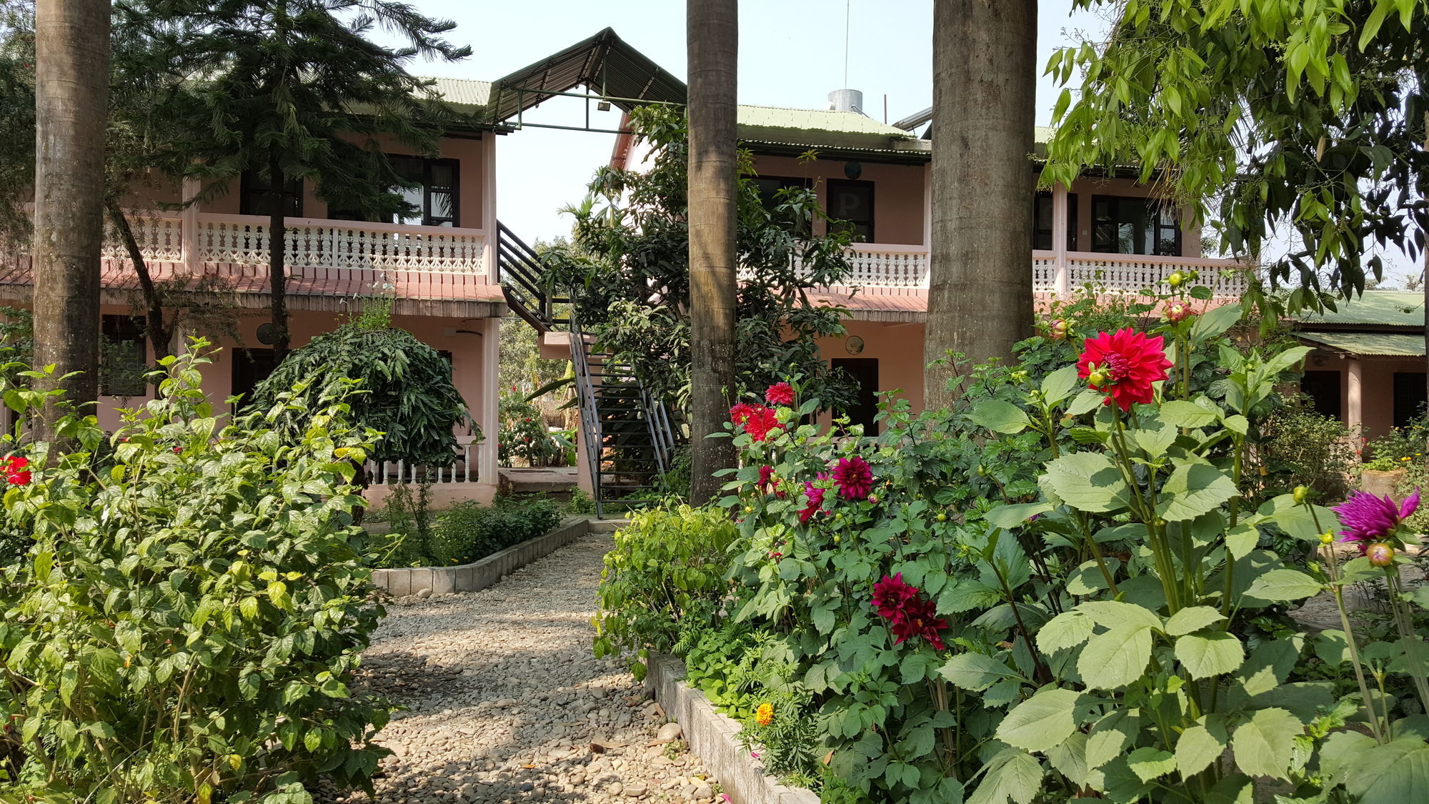 Hotel Ama Garden Sauraha Exteriér fotografie